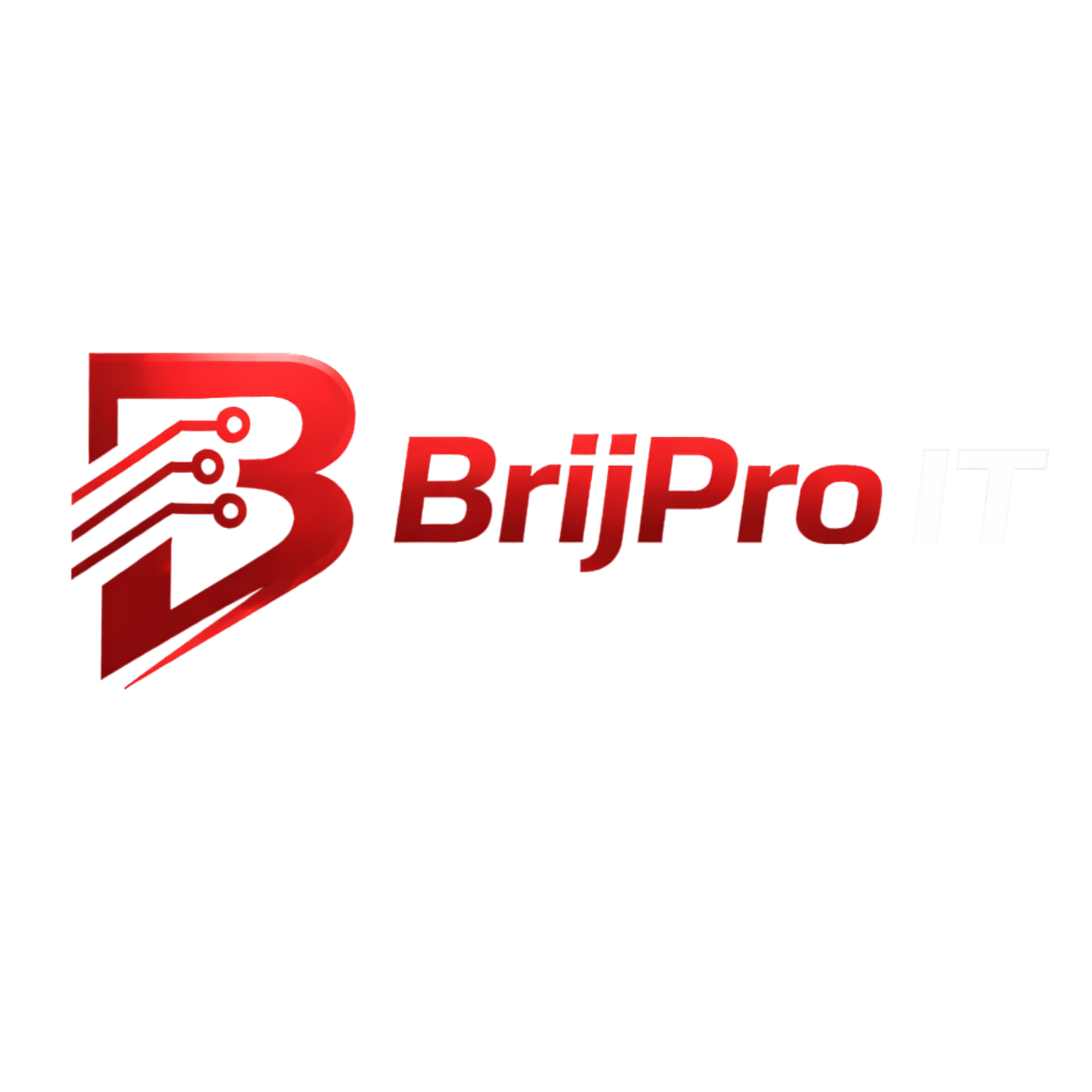BrijPro IT Logo